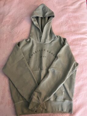 American Eagle Outfitters Olive Green Crewneck Hoodie